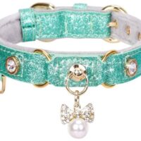 PetsHome Cat Collar, Dog Collar, [Bling Rhinestones] PU Leather Adjustable Pet Collar with Luxury Pendant for Big Cat and Small to Medium Dog Small Mint Green