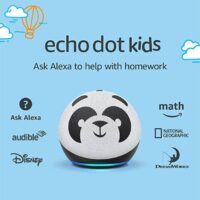 Echo Dot (4th Gen, 2020 release) Kids | Designed for kids, with parental controls | Panda
