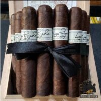 CIGAR 24 Pc box